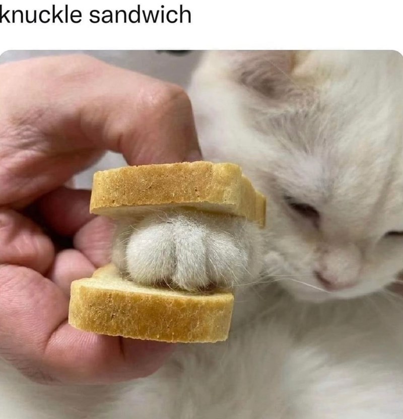 knuckle sandwich