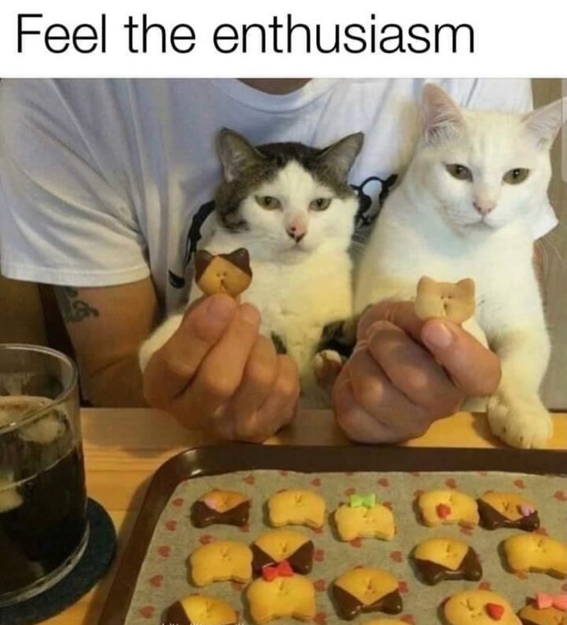 Feel the enthusiasm
