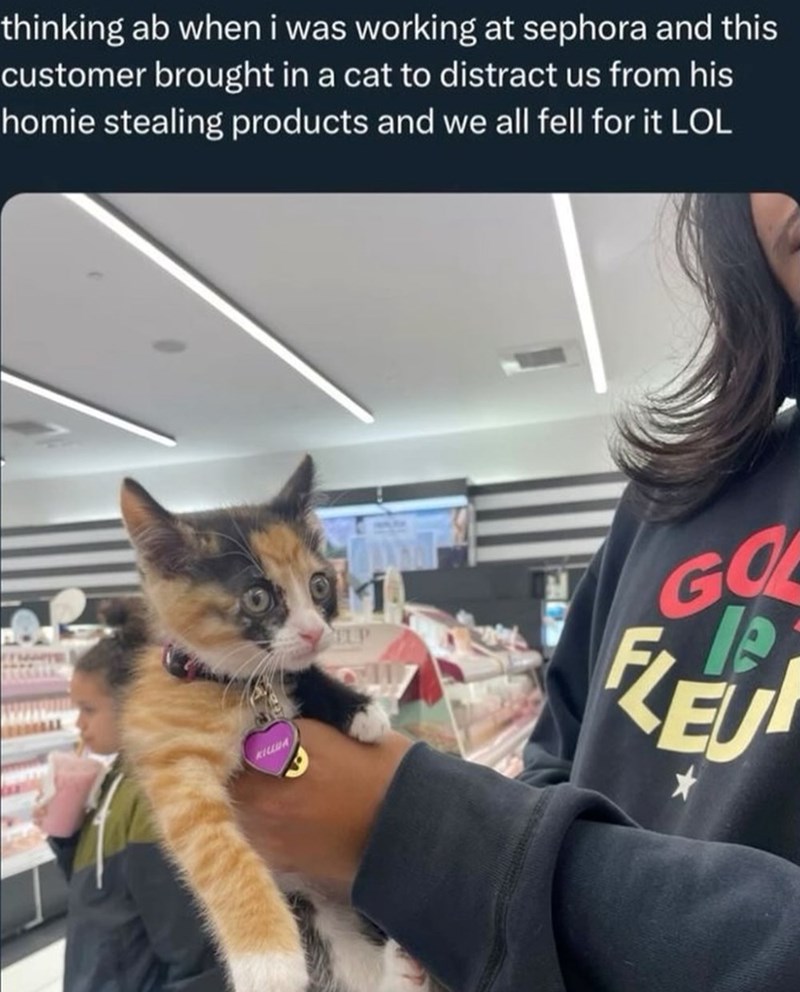 thinking ab when i was working at sephora and this customer brought in a cat to distract us from his homie stealing products and we all fell for it LOL KILLUA LP GO FLEU