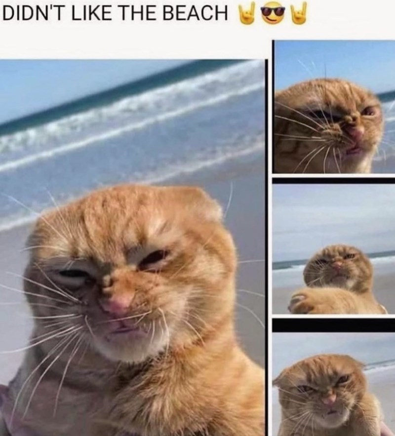 DIDN'T LIKE THE BEACH