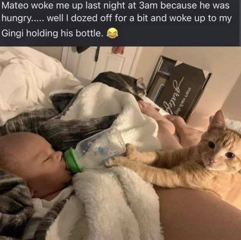 Mateo woke me up last night at 3am because he was hungry..... well I dozed off for a bit and woke up to my Gingi holding his bottle. gratef start each day