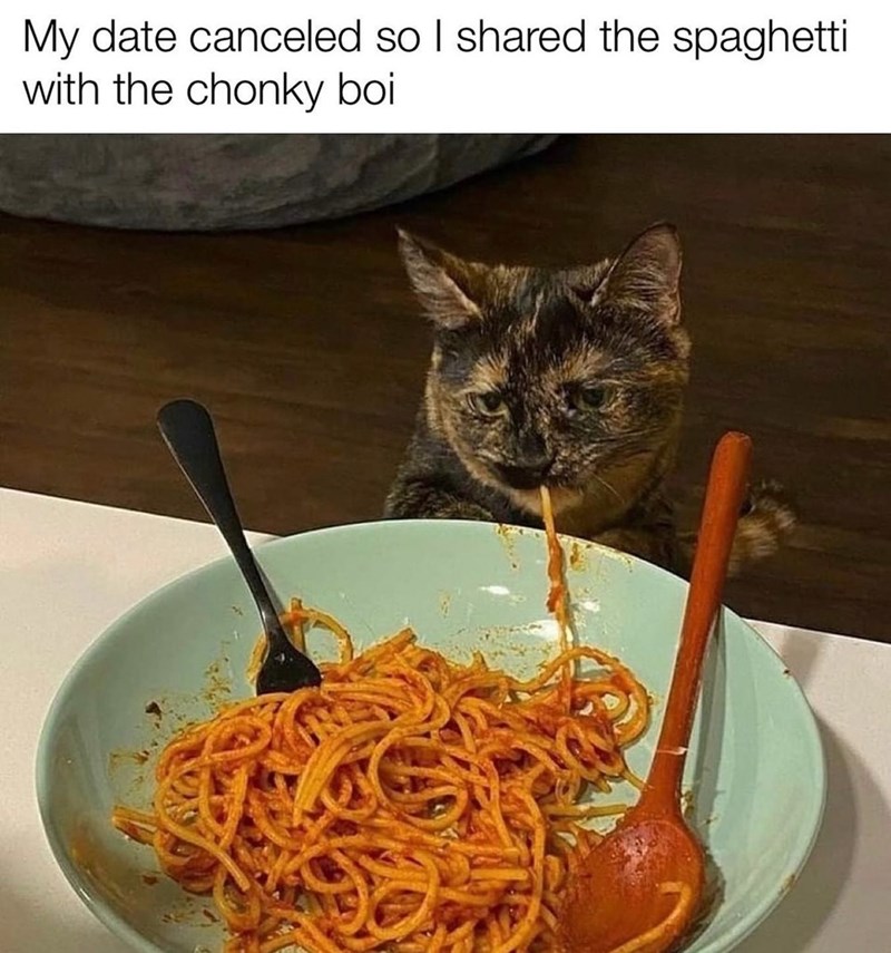 My date canceled so I shared the spaghetti with the chonky boi