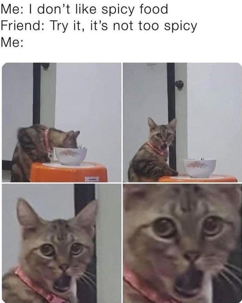 Me: I don't like spicy food Friend: Try it, it's not too spicy Me: