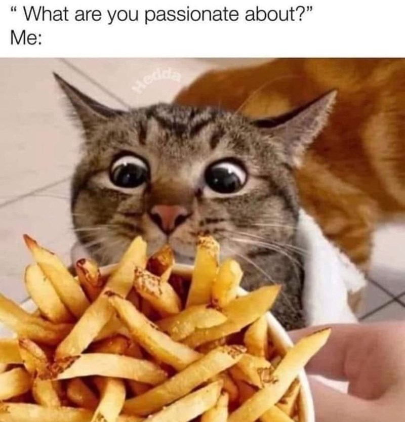 " What are you passionate about?" Me: Hedda