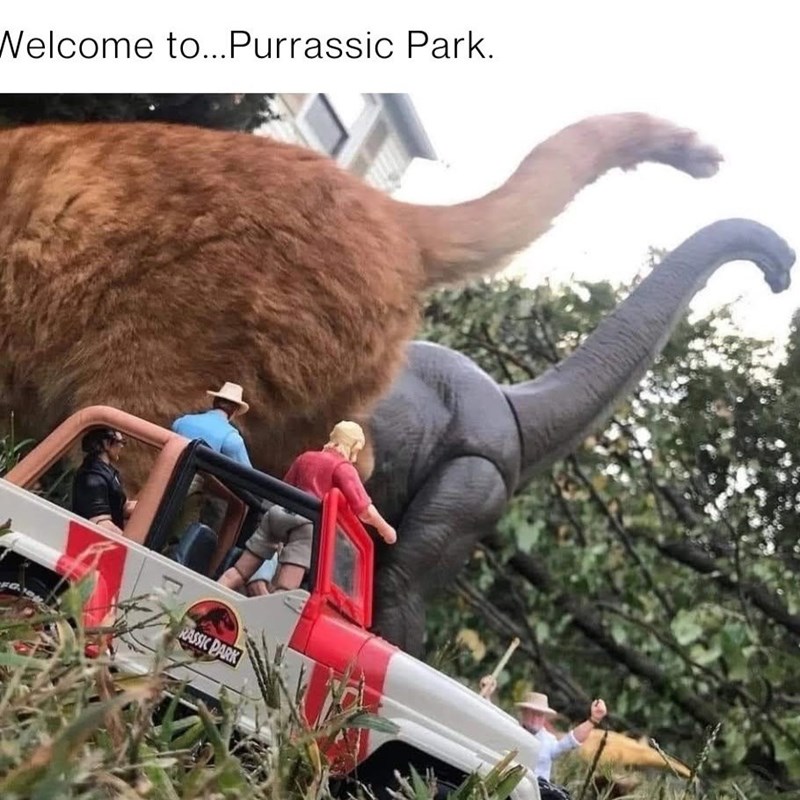 Welcome to... Purrassic Park. RASSIC PARK