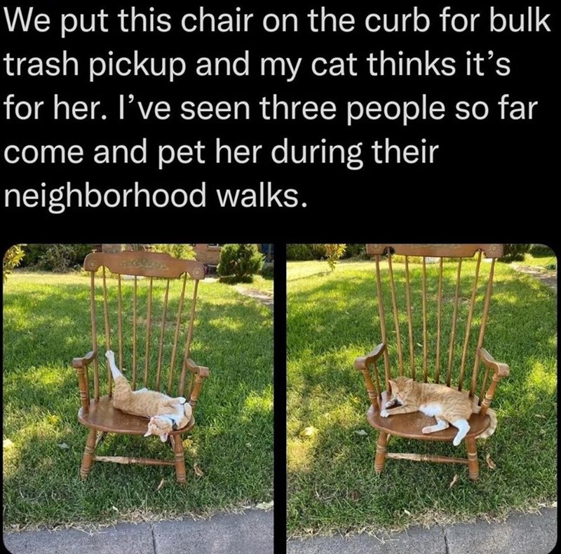 We put this chair on the curb for bulk trash pickup and my cat thinks it's for her. I've seen three people so far come and pet her during their neighborhood walks.