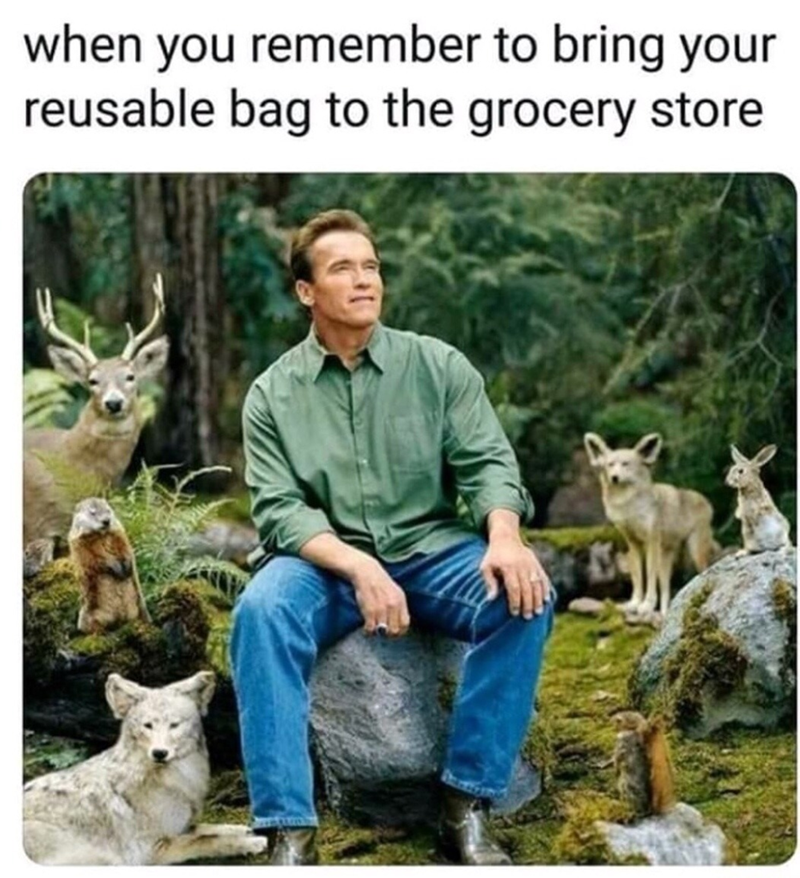 when you remember to bring your reusable bag to the grocery store
