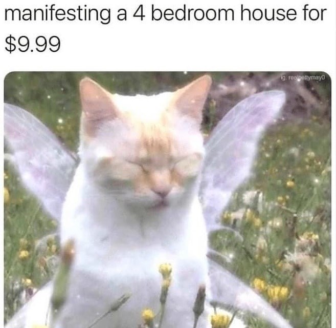 manifesting a 4 bedroom house for $9.99 ig realbaltymayo