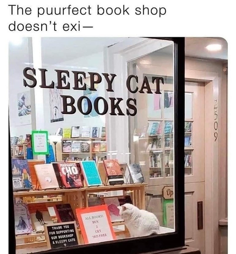 The puurfect book shop doesn't exi- SLEEPY CAT BOOKS ALIC MARGARET CHO AUCTIONS THANK YOU FOR SUPPORTING OUR BOOKSHOP & SLEEPY CATS ALL BOOKS! BUY 2 GET RD FREE Op 0509