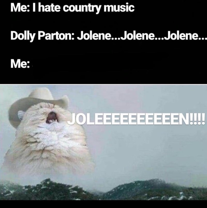 Me: I hate country music Dolly Parton: Jolene...Jolene...Jolene... Me: JOLEEEEEEEEEEN!!!!