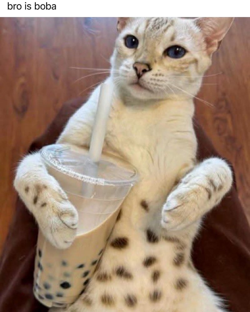 bro is boba