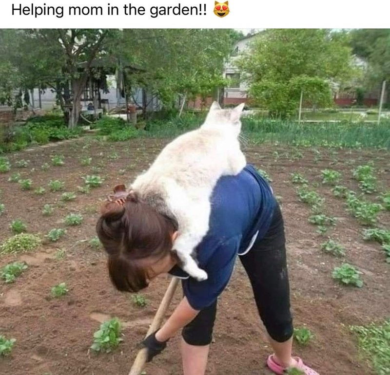 Helping mom in the garden!!