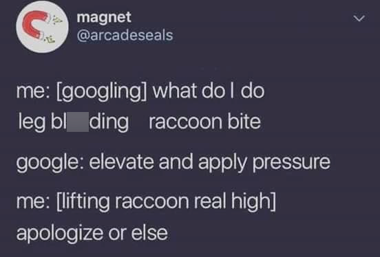 C magnet @arcadeseals me: [googling] what do I do leg bl ding raccoon bite google: elevate and apply pressure me: [lifting raccoon real high] apologize or else
