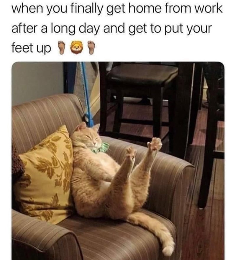 when you finally get home from work after a long day and get to put your feet up ♥♥