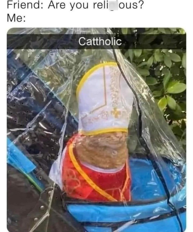 Friend: Are you reli_ous? Me: Cattholic