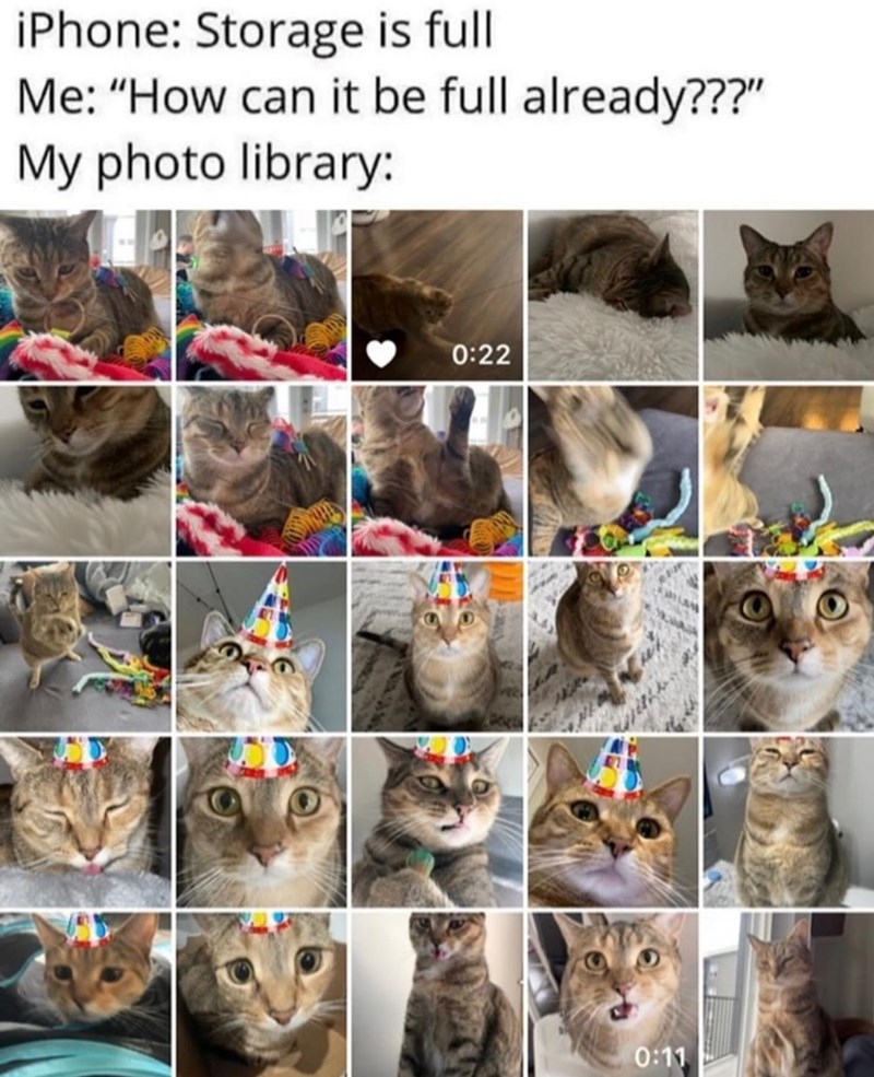 iPhone: Storage is full Me: "How can it be full already???" My photo library: 0:22 0:11