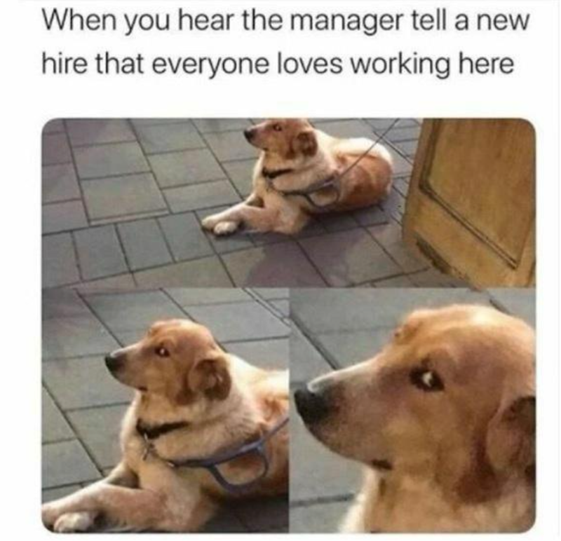 When you hear the manager tell a new hire that everyone loves working here
