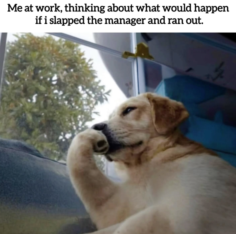 Me at work, thinking about what would happen if i slapped the manager and ran out.