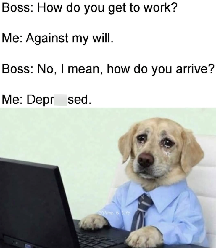 Boss: How do you get to work? Me: Against my will. Boss: No, I mean, how do you arrive? Me: Depr sed. @Doge is Life