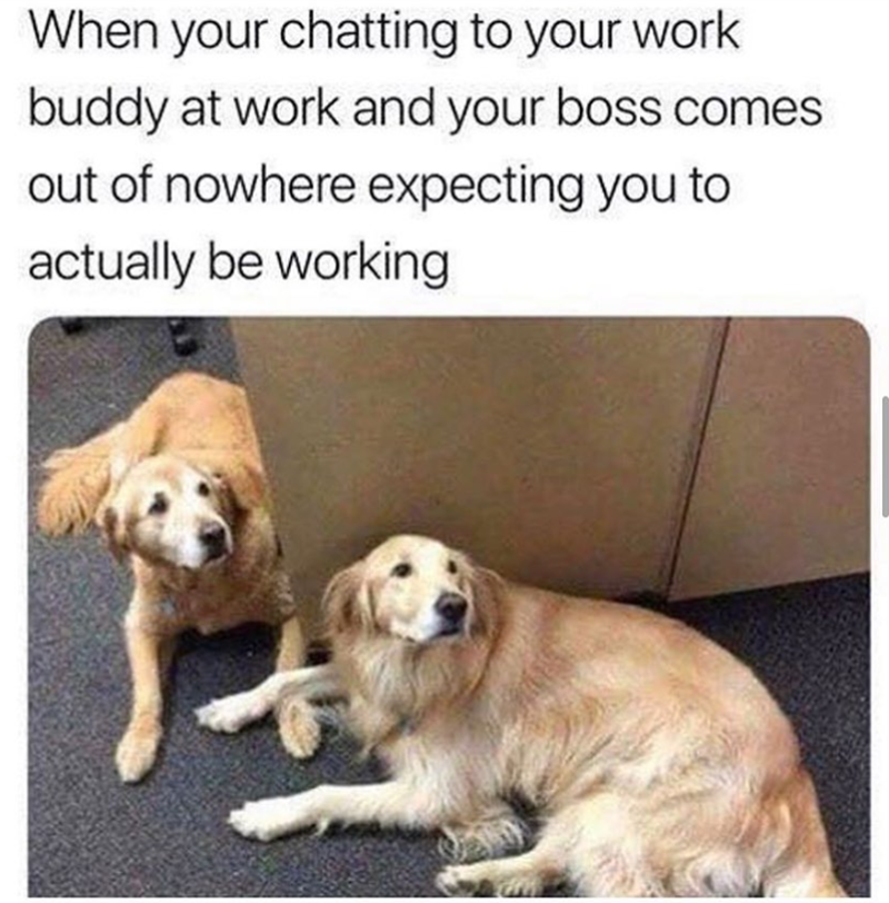 When your chatting to your work buddy at work and your boss comes out of nowhere expecting you to actually be working