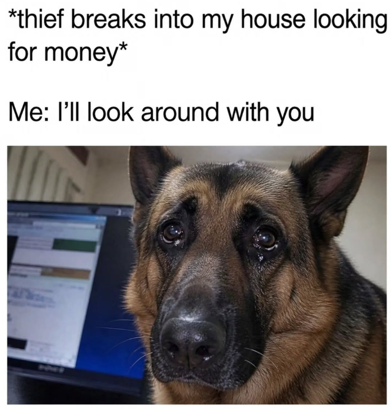 *thief breaks into my house looking for money* Me: I'll look around with you