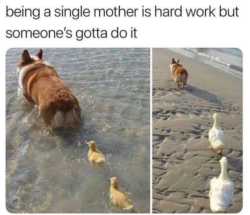 being a single mother is hard work but someone's gotta do it