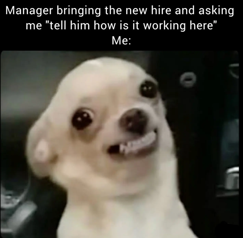 Manager bringing the new hire and asking me "tell him how is it working here" Me: