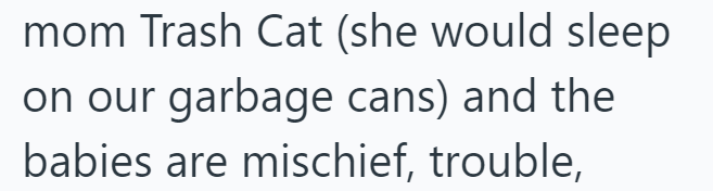 mom Trash Cat (she would sleep on our garbage cans) and the babies are mischief, trouble,