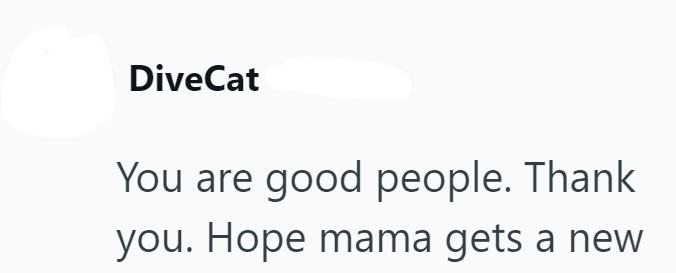 DiveCat You are good people. Thank you. Hope mama gets a new