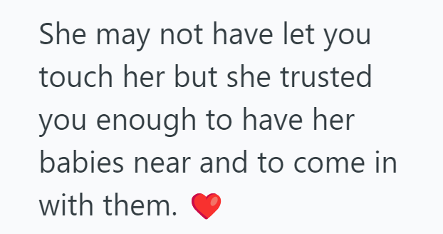 She may not have let you touch her but she trusted you enough to have her babies near and to come in with them.