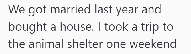 We got married last year and bought a house. I took a trip to the animal shelter one weekend