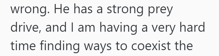 wrong. He has a strong prey drive, and I am having a very hard time finding ways to coexist the