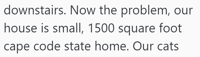 downstairs. Now the problem, our house is small, 1500 square foot cape code state home. Our cats