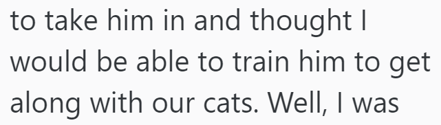to take him in and thought I would be able to train him to get along with our cats. Well, I was
