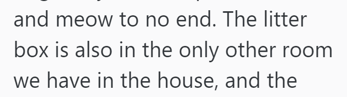 and meow to no end. The litter box is also in the only other room we have in the house, and the