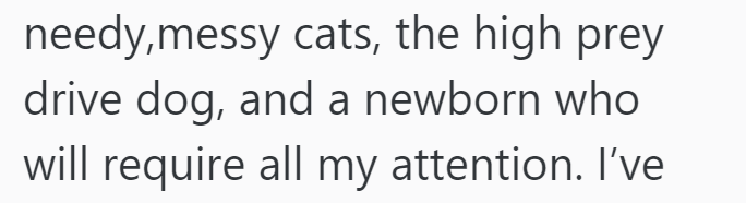 needy,messy cats, the high prey drive dog, and a newborn who will require all my attention. I've