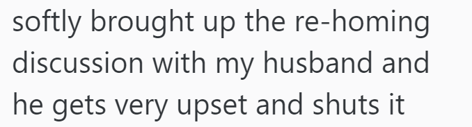 softly brought up the re-homing discussion with my husband and he gets very upset and shuts it
