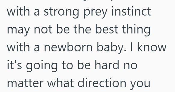 with a strong prey instinct may not be the best thing with a newborn baby. I know it's going to be hard no matter what direction you