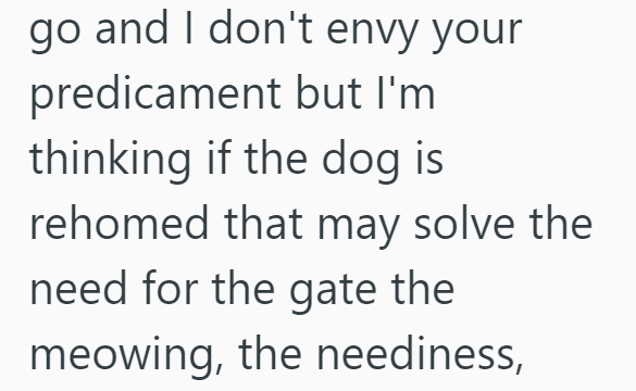 go and I don't envy your predicament but I'm thinking if the dog is rehomed that may solve the need for the gate the meowing, the neediness,