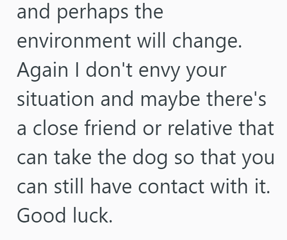 and perhaps the environment will change. Again I don't envy your situation and maybe there's a close friend or relative that can take the dog so that you can still have contact with it. Good luck.