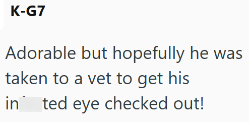 K-G7 Adorable but hopefully he was taken to a vet to get his in ted eye checked out!