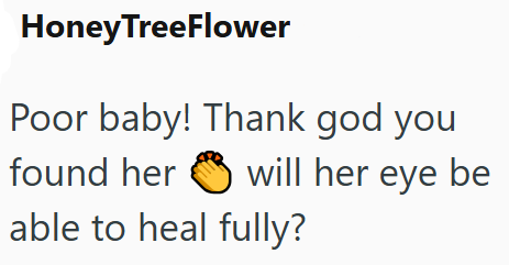 Honey TreeFlower Poor baby! Thank god you found her will her eye be able to heal fully?