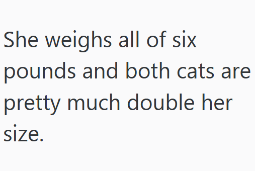 She weighs all of six pounds and both cats are pretty much double her size.