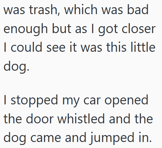 was trash, which was bad enough but as I got closer I could see it was this little dog. I stopped my car opened the door whistled and the dog came and jumped in.