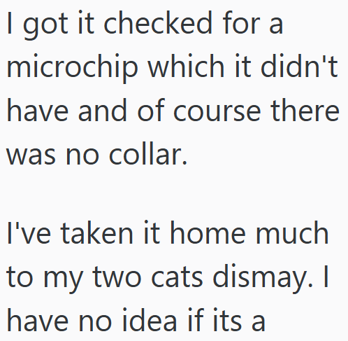 I got it checked for a microchip which it didn't have and of course there was no collar. I've taken it home much to my two cats dismay. I have no idea if its a