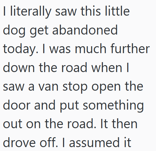 I literally saw this little dog get abandoned today. I was much further down the road when I saw a van stop open the door and put something out on the road. It then drove off. I assumed it