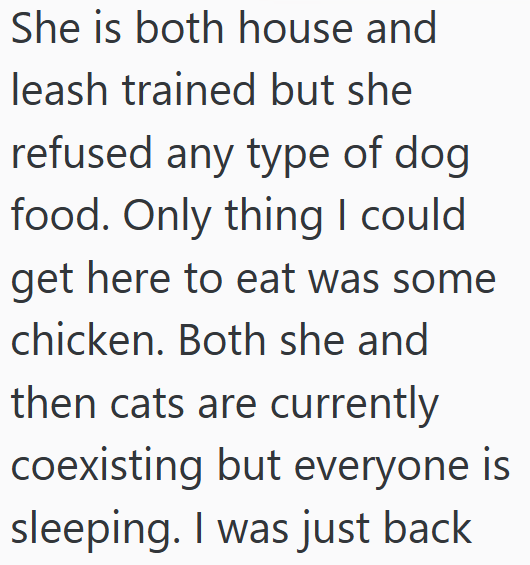 She is both house and leash trained but she refused any type of dog food. Only thing I could get here to eat was some chicken. Both she and then cats are currently coexisting but everyone is sleeping. I was just back