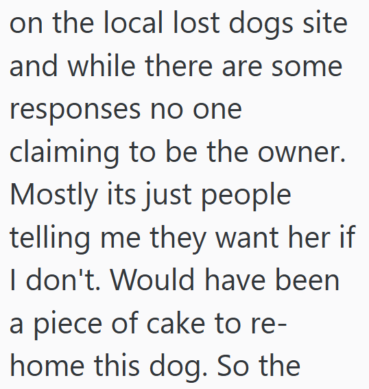 on the local lost dogs site and while there are some responses no one claiming to be the owner. Mostly its just people telling me they want her if I don't. Would have been a piece of cake to re- home this dog. So the