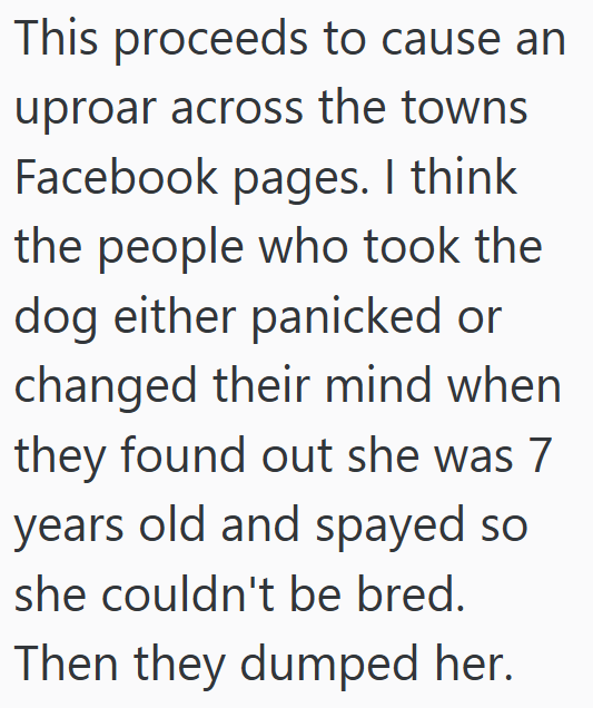 This proceeds to cause an uproar across the towns Facebook pages. I think the people who took the dog either panicked or changed their mind when they found out she was 7 years old and spayed so she couldn't be bred. Then they dumped her.