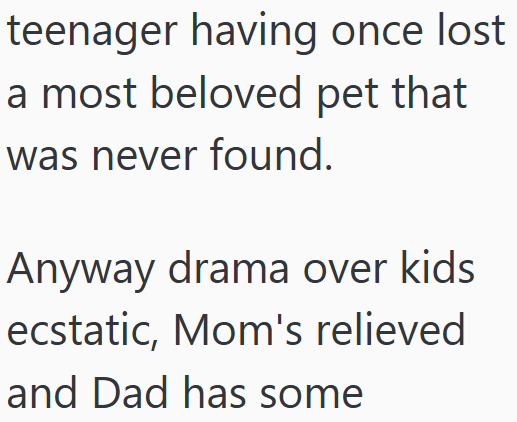 teenager having once lost a most beloved pet that was never found. Anyway drama over kids ecstatic, Mom's relieved and Dad has some